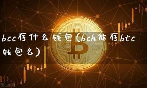 btc用什么钱包存(btc用什么交易)