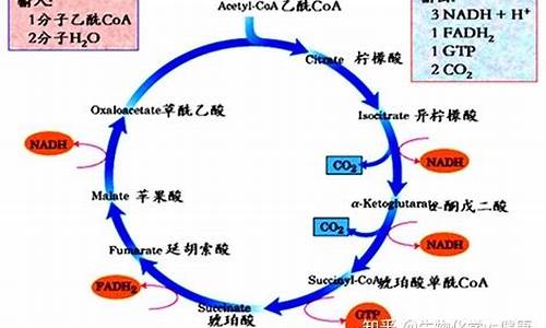 tca数字货币的名称是什么(tce数字货币交易所)