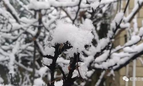 全国各地下雪 群聊平台成雪景互动新场所