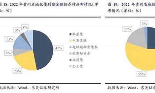 贵州地方债的市场风险与收益考量(贵州地方债引爆的后果)