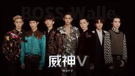 wayv威神 成员资料,waybigmen看个够