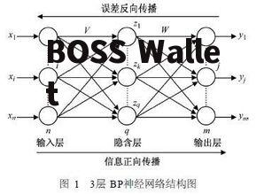 bp网络, BP神经网络是什么?